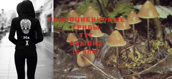 a pvp Алексин