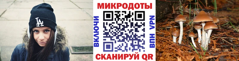 Галлюциногенные грибы Psilocybe  Донской 