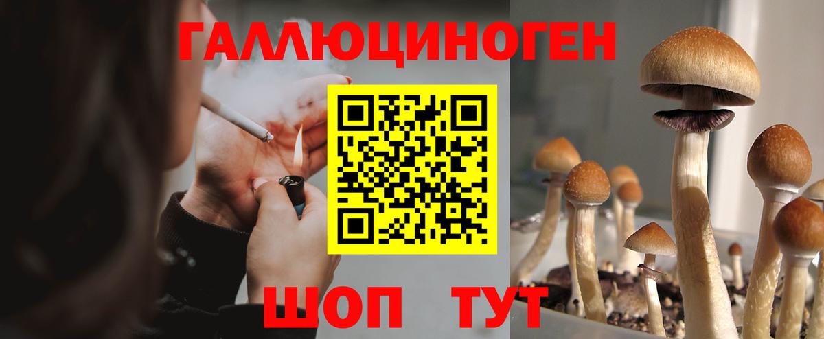 Псилоцибиновые грибы мухоморы  Вход с VPN  Донской 